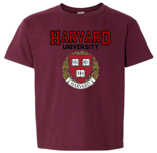 World and Space Harvard University Kids T-Shirt Harvard Kids Shirt Tee Shirt Prenses Diana Harvrd T-Shirt (as1 Alpha m Regular Maroon)